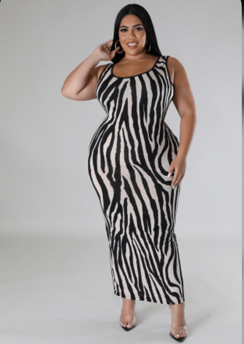 Zebra Dress